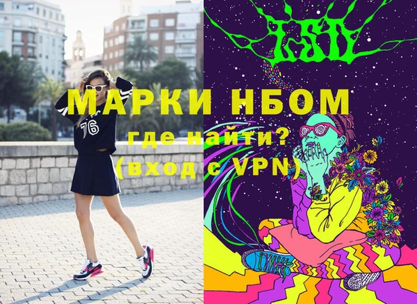 стаф Абаза