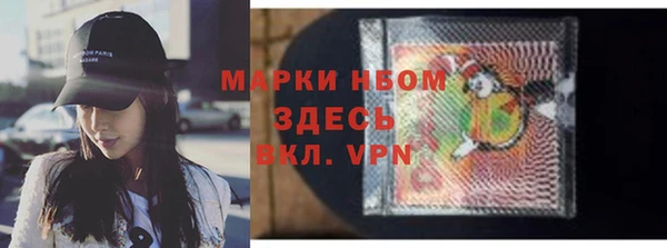 стаф Абаза