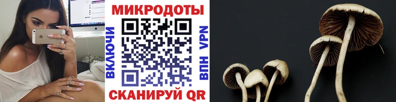 Псилоцибиновые грибы Magic Shrooms  где продают   Калачинск 