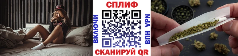 Марихуана сатива Калачинск